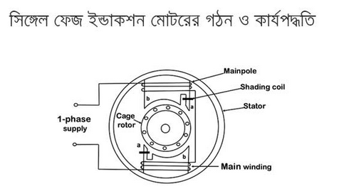 single phase induction motor